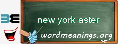 WordMeaning blackboard for new york aster